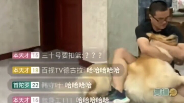 Cú lừa bóng qua háng này mà đem ra so với toàn NBA cũng thuộc hàng cực kỳ bùng nổ đấy!