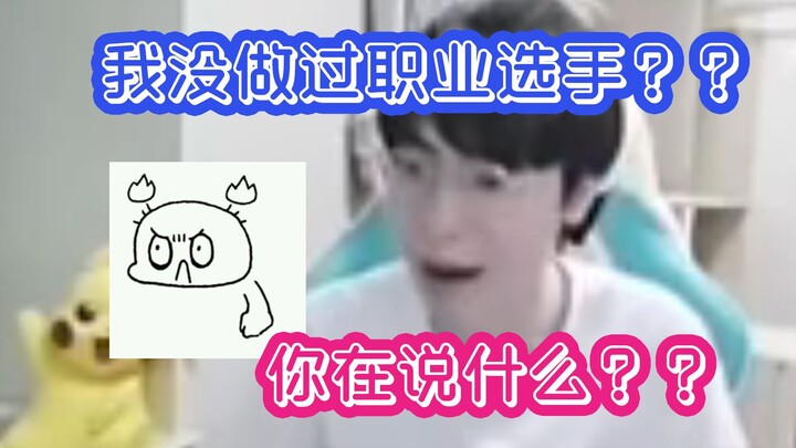 Gemini: I’ve never been a pro? What are you talking about?? When I was playing professionally, they 
