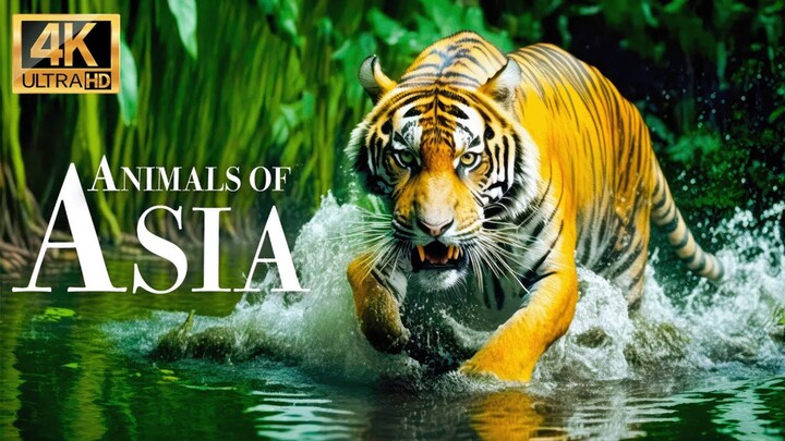 Killer Beasts_ African Wildlife_ Lethal Animals