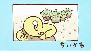 [Original Soundtrack ED] Chiikawa Chinese Subtitles Episode 284 "Ode Gets Fired ①"