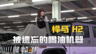 Have you ever seen such a huge horse?! Do you know the Hummer H2... My dad says nobody wants this ca