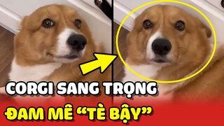 Chị Corgi ĂN SANG MẶC ĐẸP nhưng đam mê "TÈ BẬY" khiến Sen ĐAU ĐẦU😂 | Yêu Lu