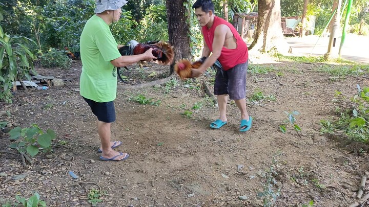 Sunday spar Gilmore hatch BC