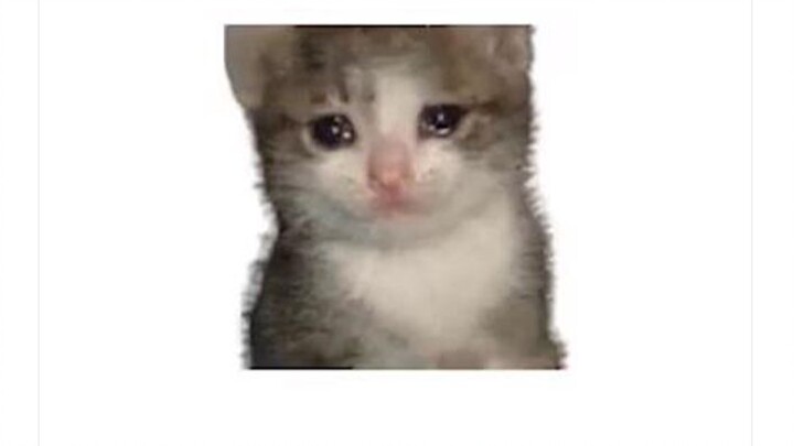 Croissant Cat, but with Snail Noodles 🍜