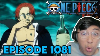 CHILLS AGAIN ?! TIME TO ACQUIRE... WHAT ?!? | Episode 1081 | One Piece REACTION !