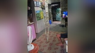 DANCE  SKELETON