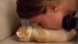 ตามคาด ความน่ารักจะจบลงที่ลูกแมว!