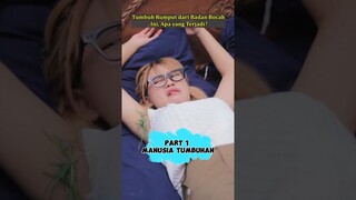 Part 1 Manusia Tumbuhan #shorts #sangdewibanyu #dramaterpopuler #dramapendek #filmpendek