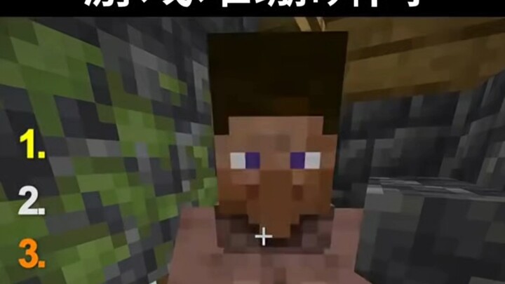 Minecraft: Funny Gaming Moments #17