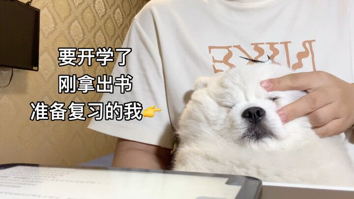 Don’t scroll if you haven’t watched it yet.