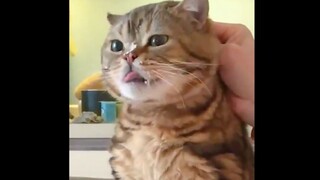 Miao: I'm pretty brave. Please hold on abit longer