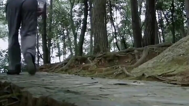 تحية لقائدنا العظيم المارشال ماو! زهور الحمّام ما زالت كما هي.