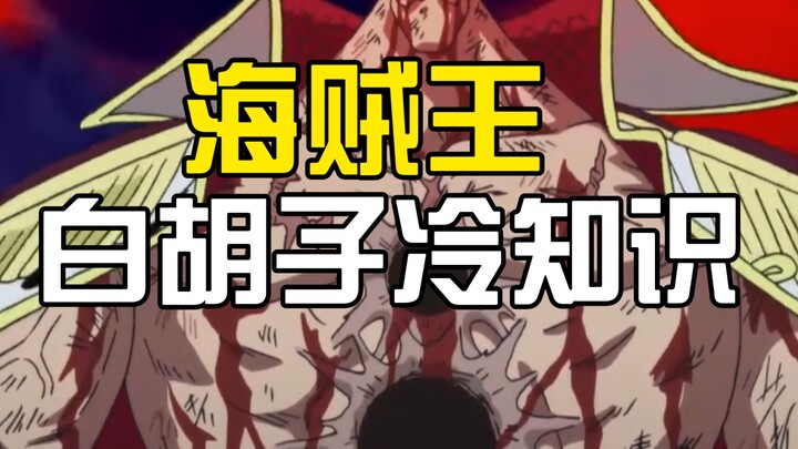 Top 10 Fun Facts About Whitebeard—Did You Know Why He Didn't Help Oden Avenge His Death?