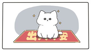 我的小猫日记