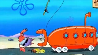 Tuan Krabs adalah pelatihnya! ! !