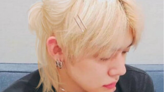 越发成长的猫狗……没有顶胯照样俘获你们哟，馍啊本嘚！