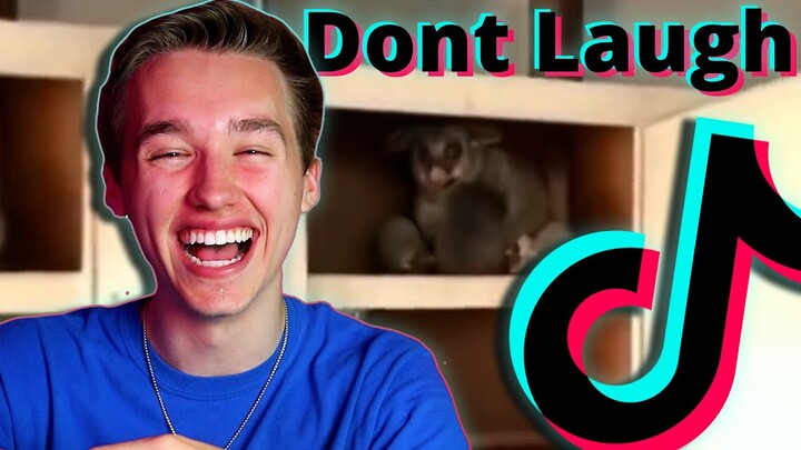 TRY NOT TO LAUGH (TIK TOK EDITION)