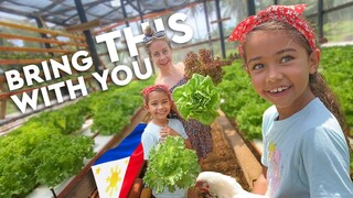 🇵🇭 When you retire in the Philippines province...