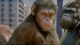มนุษย์ทดลองกับกอริลล่าและให้กำเนิดลิงอุรังอุตังพูดได้