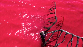 [EVA｜Zhuxun-True·LCL: "Sea"] 10W watching, thank you for the supplementary version // Western Austra