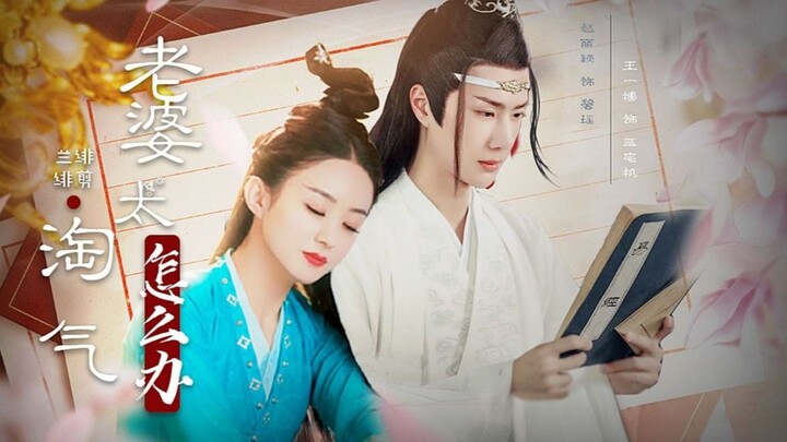 [The Legend of Fei Group] “What should I do? My wife is so mischievous!” | Lan Wangji & Bi Yao | Wan
