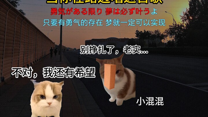 ［只想守护你 赛迦版］当年听这首歌直接哭了［猫meme］