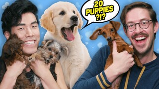 Try Guys Extreme Puppy Trivia