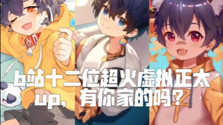 b站十二位超火虚拟正太up，都是你喜欢的吗？(●°u°●) 」