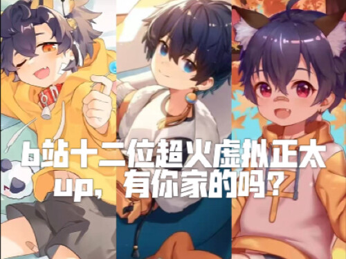 b站十二位超火虚拟正太up，都是你喜欢的吗？(●°u°●) 」