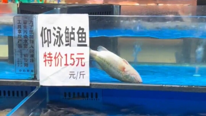 分享下最近的难绷瞬间