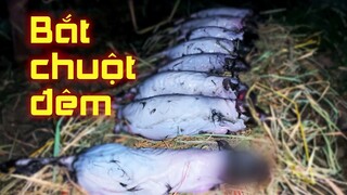 Món Chuột Nướng Rơm Theo Phong Cách Hải Phòng Vào Mùa Bắt Chuột Đêm | LTL FOOD