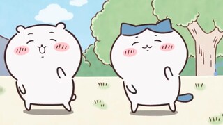 【Chiikawa】Guru, mengapa anak saya selalu mengatakan bahwa ayahnya adalah kakeknya?