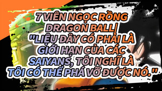 7 Viên Ngọc Rồng 
