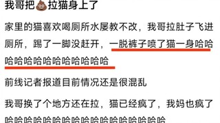 给猫洗澡对它来说残忍吗？