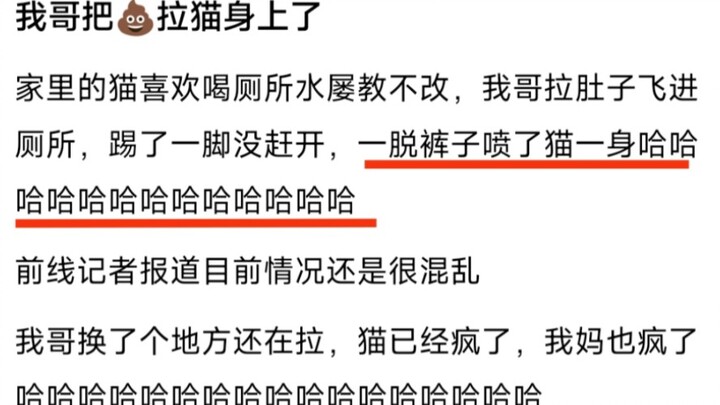 给猫洗澡对它来说残忍吗？