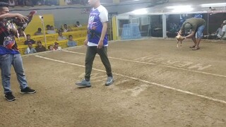 papya lines ne joy manok 🐓😘😘🐓