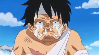 kasihan bounty Luffy turun 😭😭😭