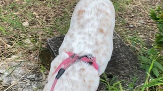 เด็กดื้ออออออ