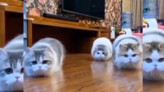 ฮาทุกฉาก ขำไม่ไหว！EP.10 #สนุก #ตลก #ขำ