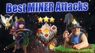 COMBO QW DAN MINER AUTO 100%