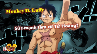 MONKEY D. LUFFY_ Sức mạnh tầm cỡ Tứ Hoàng_ Luffy đã thắng được Đô Đốc?