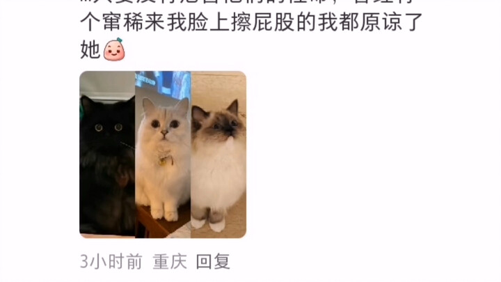 Ibu yang penuh kasih sering kali merusak anaknya