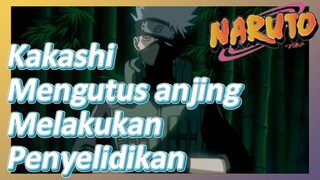 Kakashi Mengutus anjing Melakukan Penyelidikan