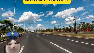 命中带编 书不用翻