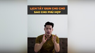 Lịch tẩy giun cho chó phù hợp petonesaigon petnhatrang tuitienpet dcgr