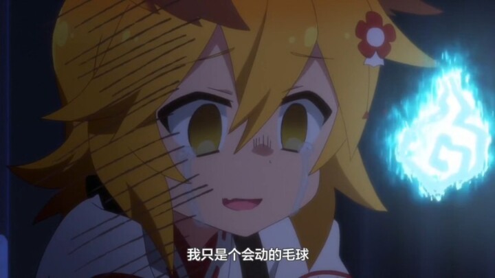 仙狐小姐变毛球了