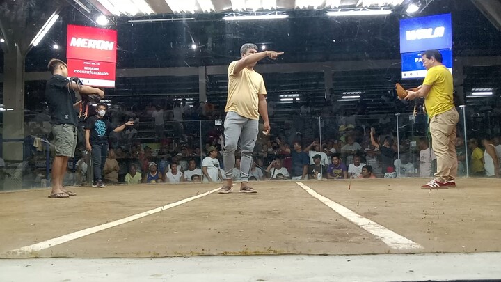 6 COCK DERBY CIRCUIT 7TH LEG STA RITA COCKPIT 5TH FIGHT