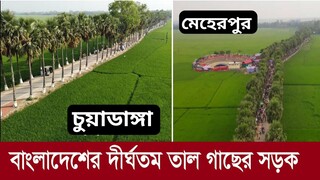 চুয়াডাঙ্গা তালসারি ইকোপার্ক। মেহেরপুর তালসার ইকোপার্ক