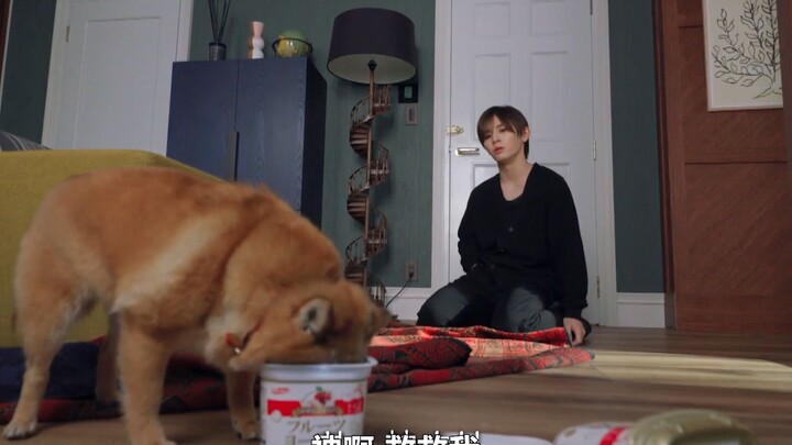 “เมื่อชื่อของหมาตัวนั้นในที่สุดก็มีความหมายสำหรับคุณ ฉันก็รู้เลยว่าถึงเวลาต้องจ่ายเงินส่วนแบ่งแล้ว”