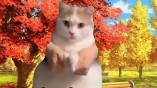 【Cat Meme】Tentang fakta bahwa ketika saya masih kecil, saya dipaksa bermain SM dengan saudara peremp